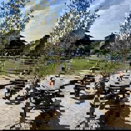 493064286 1098904542259897 3842153431616406974 N